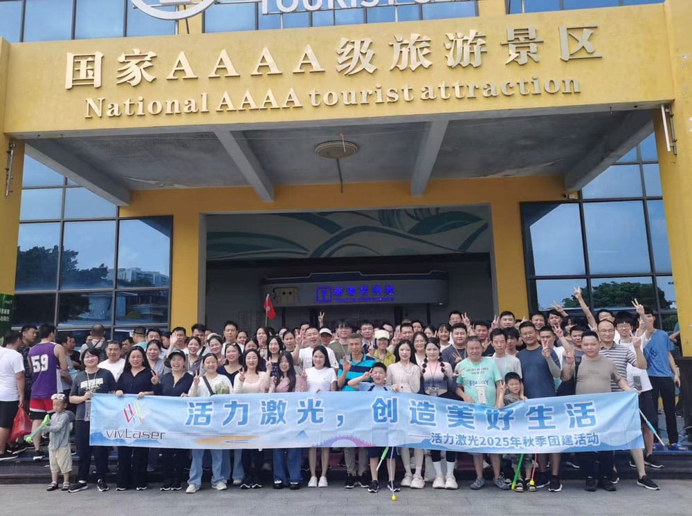 vivlaser team