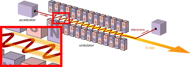 FEL laser principle