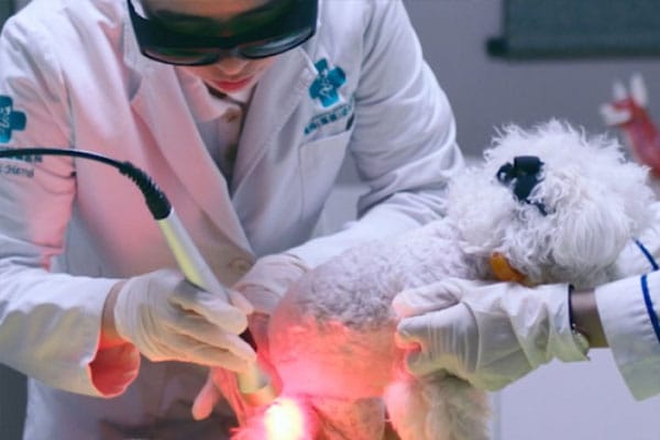 Laser therapy