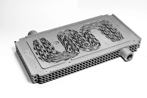 Sharkskin inspired lattice structure
