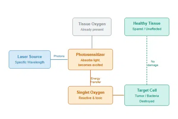 Diagram showing how light activates a photosensitizer to destroy a target cell