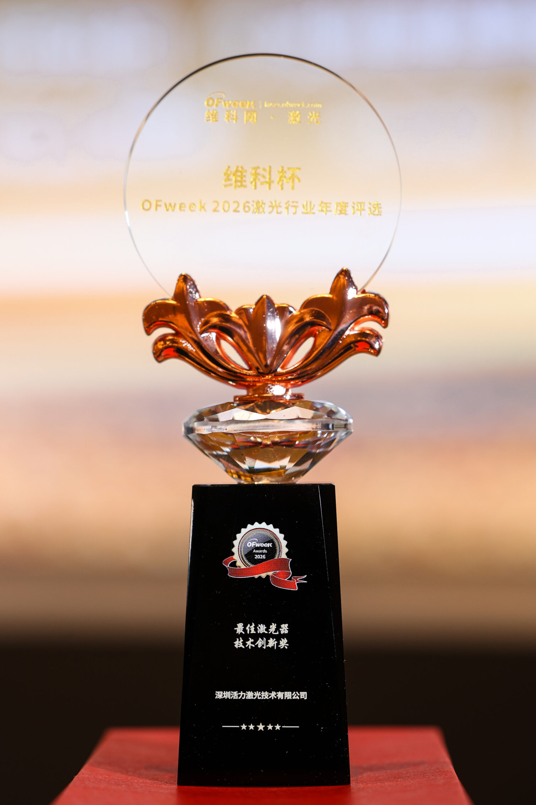 Close-up of the award certificate