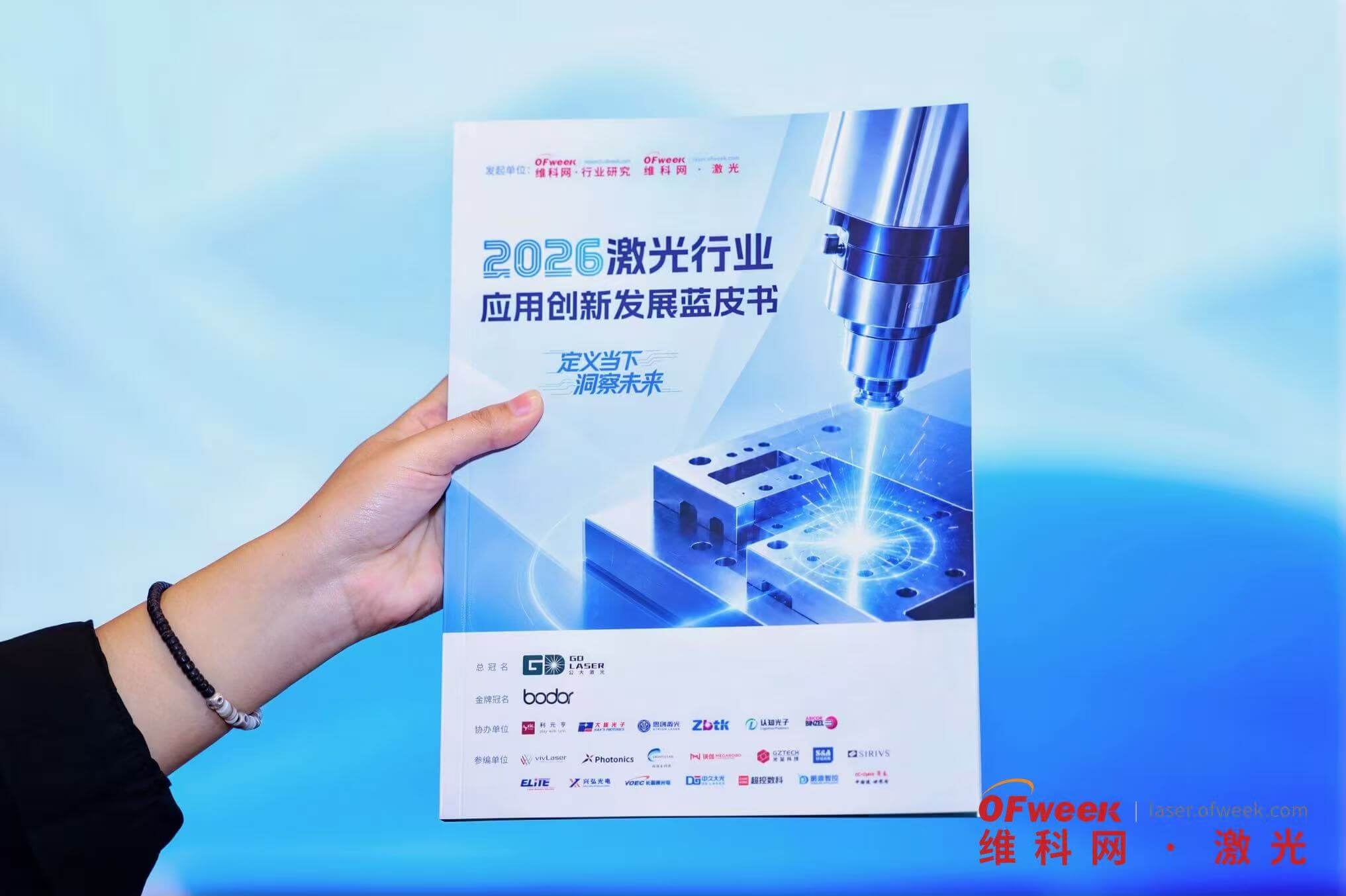 Vivlaser's company profile page in the Blue Paper